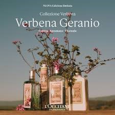 VERBENA E GERANIO